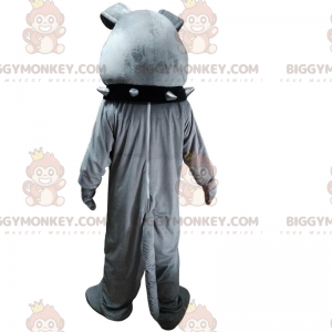 Bulldog BIGGYMONKEY™ maskotkostume med sort krave - Hunde maskoter - BIGGYMONKEY_015189 - BiggyMonkey.com