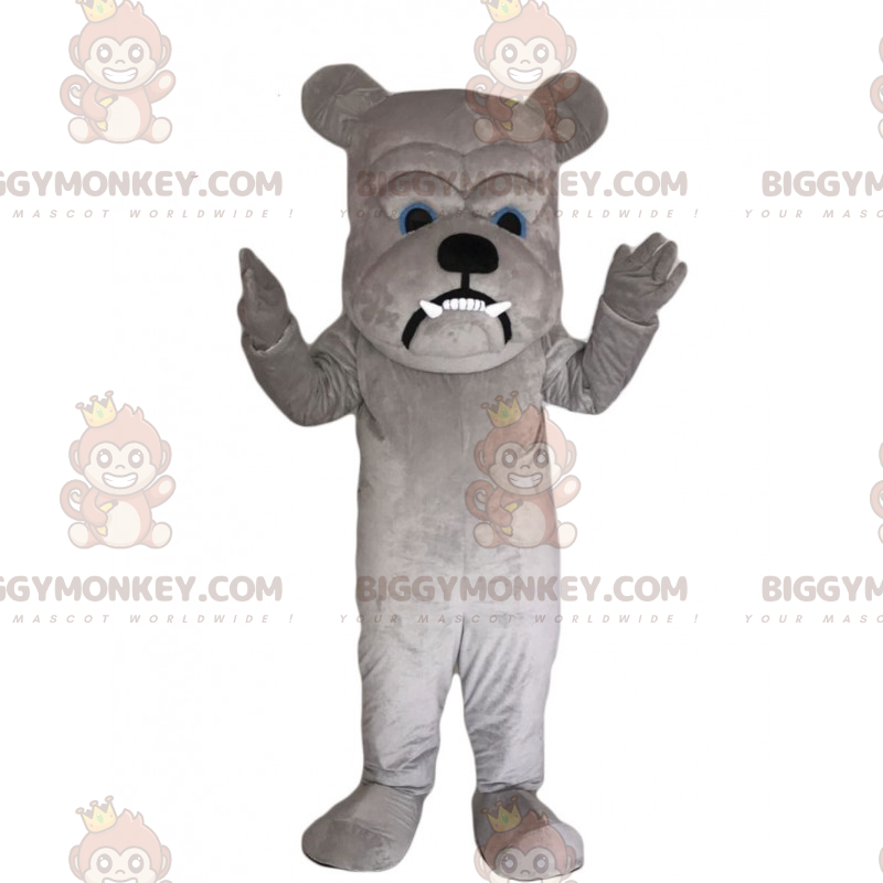 Costume de mascotte BIGGYMONKEY™ de bulldog avec grande tète - Costume de mascotte BIGGYMONKEY™ de bulldog avec grande tète -
