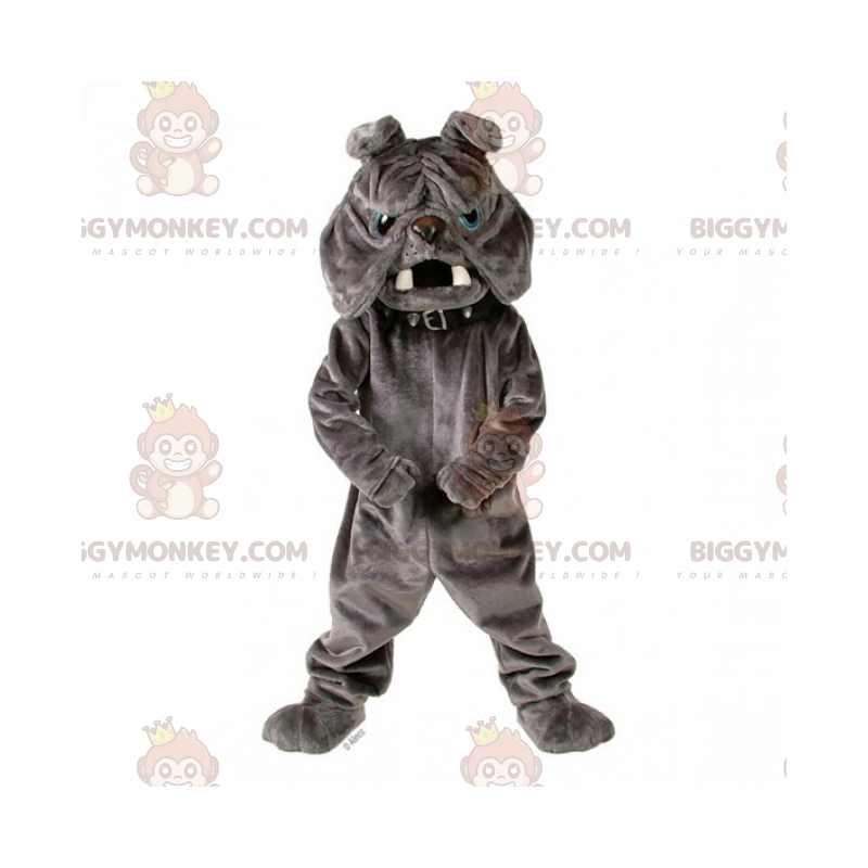 Costume de mascotte BIGGYMONKEY™ de bulldog gris avec collier -