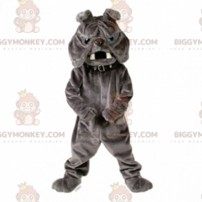 Kostium maskotka szary buldog BIGGYMONKEY™ z kołnierzem - Maskotki dla psów - BIGGYMONKEY_015197 - BiggyMonkey.com