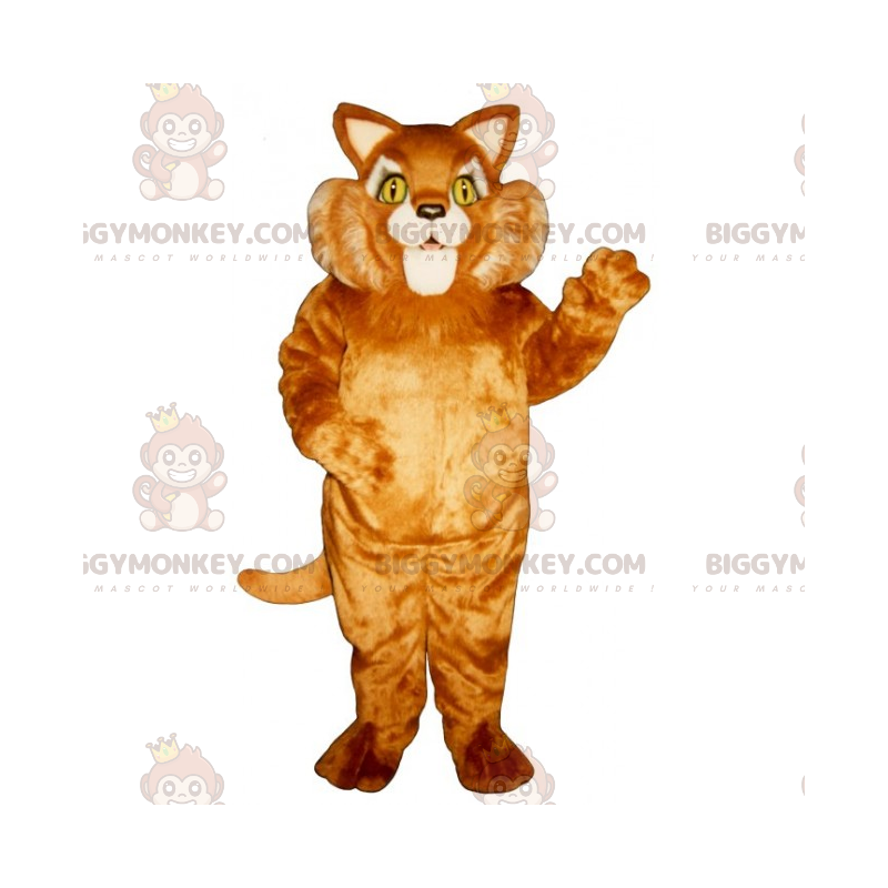 Fat Cheeked Cat BIGGYMONKEY™ maskottiasu - Biggymonkey.com Fat Cheeked Cat BIGGYMONKEY™ maskottiasu - Biggymonkey.com