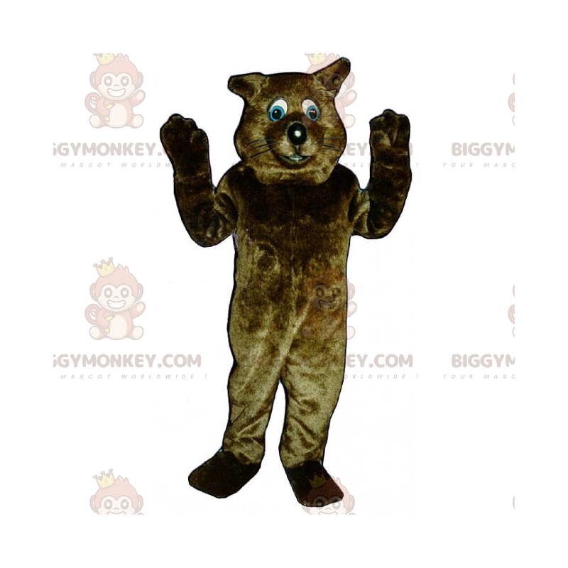 Blue Eyed Brown Cat BIGGYMONKEY™ maskotkostume - Kattemasker - BIGGYMONKEY_015295 - BiggyMonkey.com