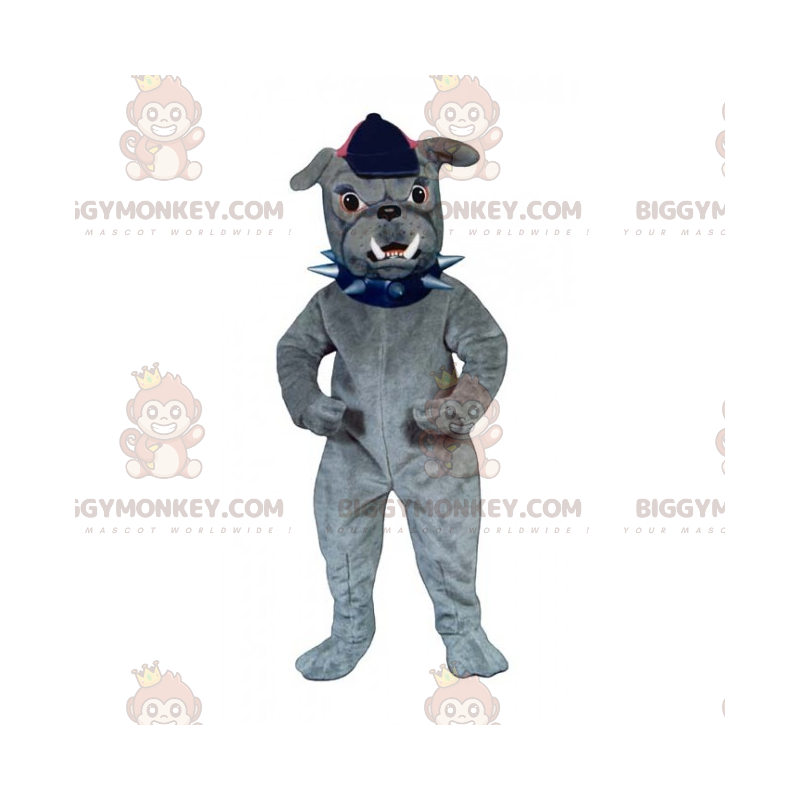 Hunde BIGGYMONKEY™ maskotkostume - Bulldog med kasket - Hunde maskoter - BIGGYMONKEY_015371 - BiggyMonkey.com
