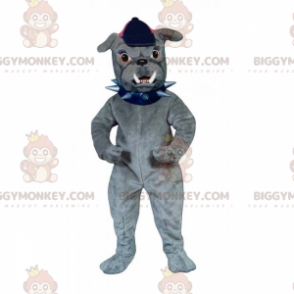 Kostium maskotka dla psa BIGGYMONKEY™ — buldog w czapce - Maskotki dla psów - BIGGYMONKEY_015371 - BiggyMonkey.com