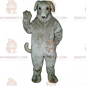 Hunde BIGGYMONKEY™ maskotkostume - Greyhound - Hunde maskoter - BIGGYMONKEY_015383 - BiggyMonkey.com