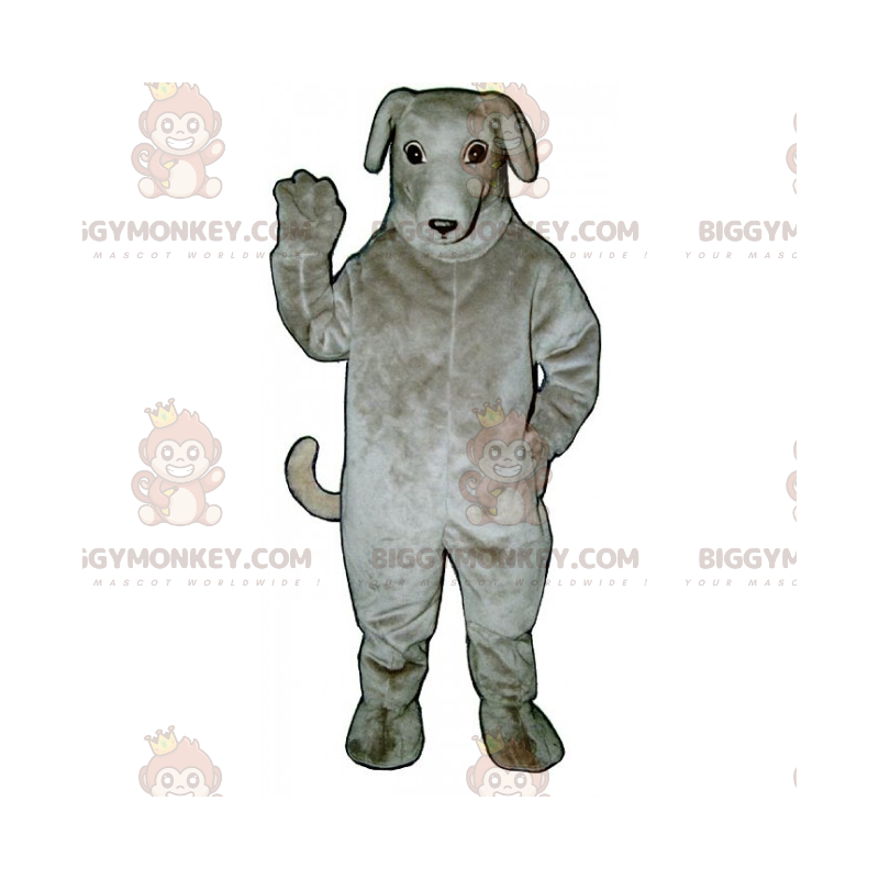 Hond BIGGYMONKEY™ Mascottekostuum - Windhond - Biggymonkey.com Hond BIGGYMONKEY™ Mascottekostuum - Windhond - Biggymonkey.com