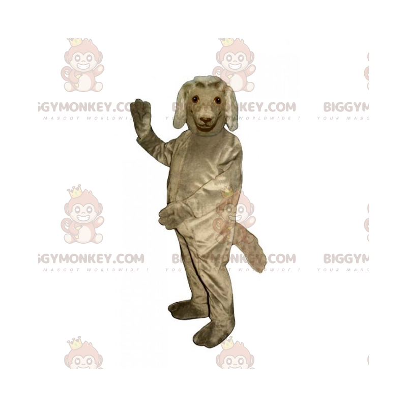 Traje de mascote para cachorro BIGGYMONKEY™ - Setter Irlandês – Traje de mascote para cachorro BIGGYMONKEY™ - Setter Irlandês –