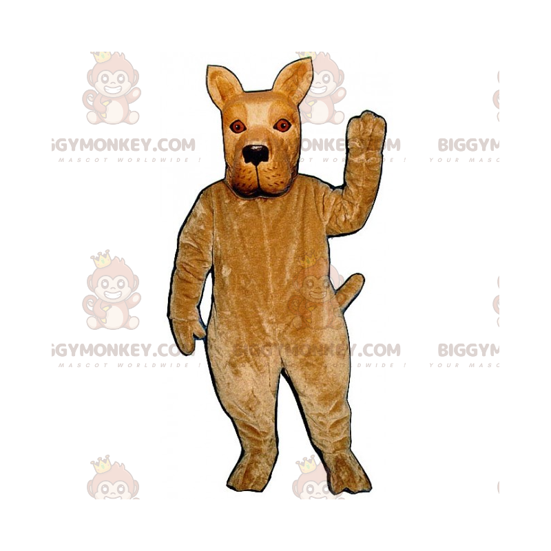 Spitzohriger Hund BIGGYMONKEY™ Maskottchen-Kostüm - Spitzohriger Hund BIGGYMONKEY™ Maskottchen-Kostüm -
