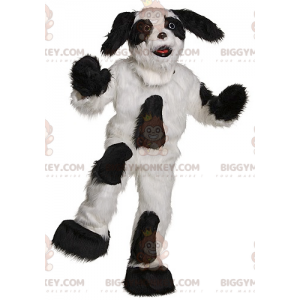 Czarny i biały włochaty pies kostium maskotka BIGGYMONKEY™ -