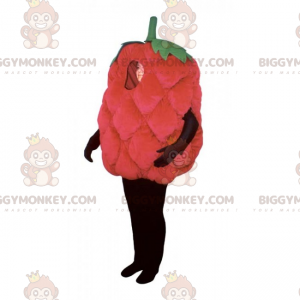 Costume de mascotte BIGGYMONKEY™ de framboise - Biggymonkey.com