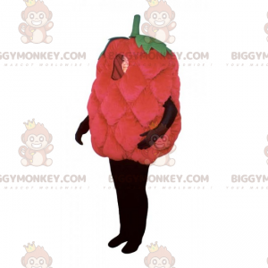 Raspberry BIGGYMONKEY™ Mascot Costume – Biggymonkey.com