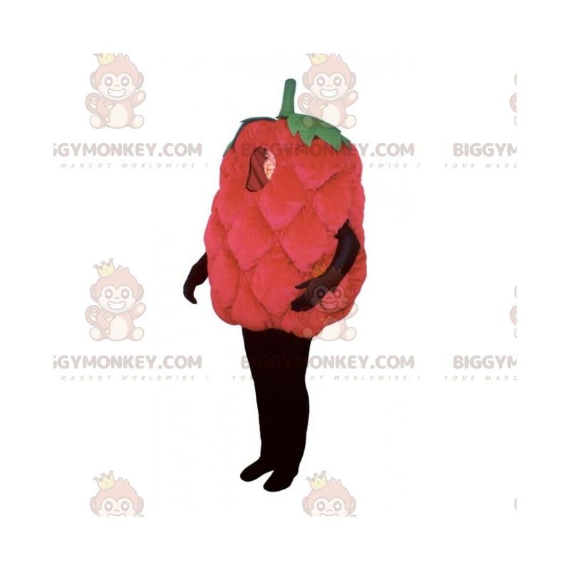 Costume de mascotte BIGGYMONKEY™ de framboise - Biggymonkey.com