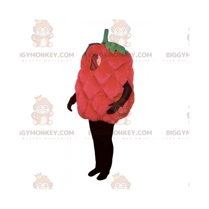 Raspberry BIGGYMONKEY™ Mascot Costume - Biggymonkey.com