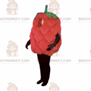 Costume de mascotte BIGGYMONKEY™ de framboise - Biggymonkey.com