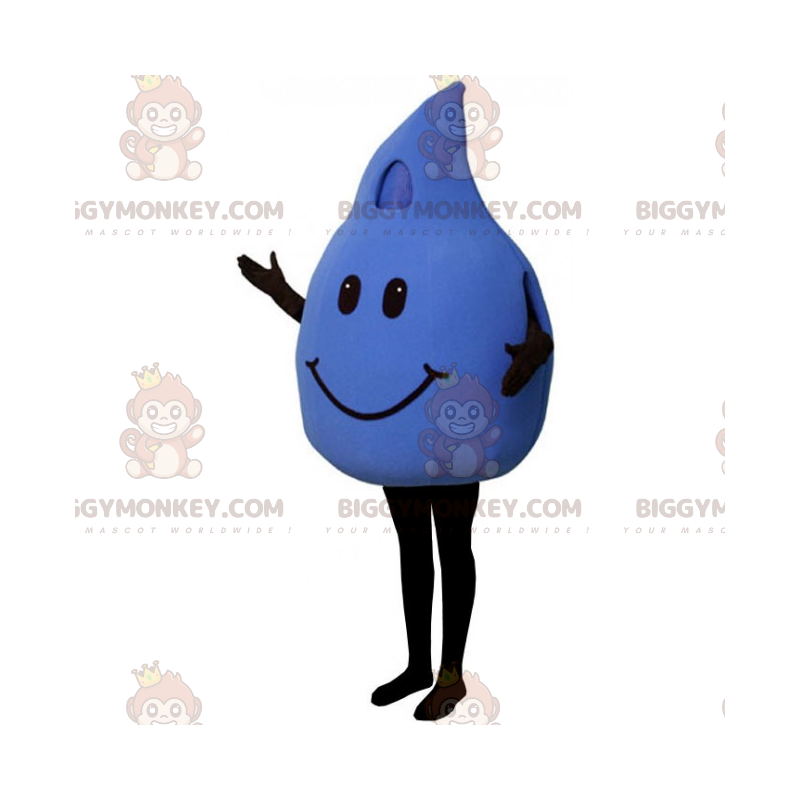 Costume de mascotte BIGGYMONKEY™ de goutte d'eau avec visage Costume de mascotte BIGGYMONKEY™ de goutte d'eau avec visage