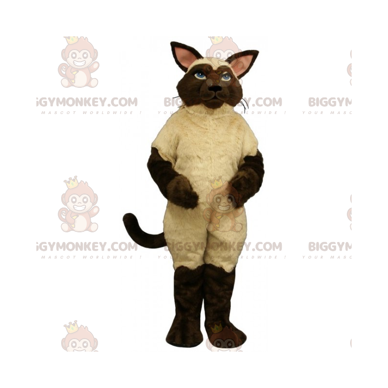 Siamese grote kat BIGGYMONKEY™ mascottekostuum - Biggymonkey.com Siamese grote kat BIGGYMONKEY™ mascottekostuum - Biggymonkey.com