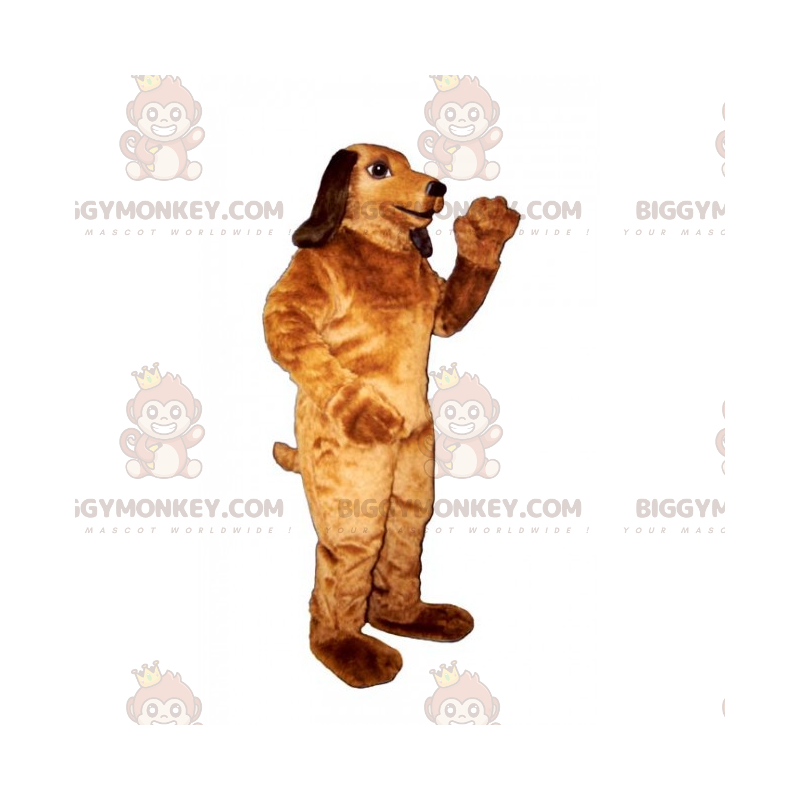 Disfraz de mascota Big Dachshund BIGGYMONKEY™ - Biggymonkey.com Disfraz de mascota Big Dachshund BIGGYMONKEY™ - Biggymonkey.com