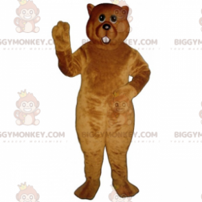Big Toothed Hamster BIGGYMONKEY™ Maskottchen-Kostüm - Waldtiere - BIGGYMONKEY_015862 - BiggyMonkey.com