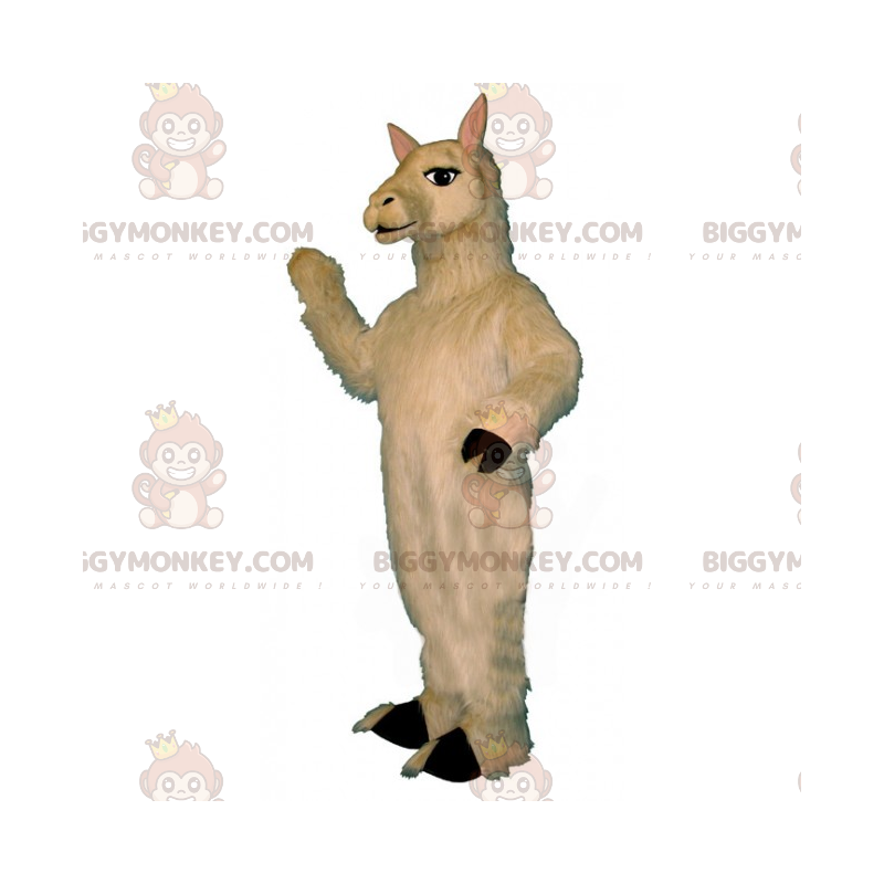 Kostým maskota bílé lamy BIGGYMONKEY™ – Biggymonkey.com Kostým maskota bílé lamy BIGGYMONKEY™ – Biggymonkey.com