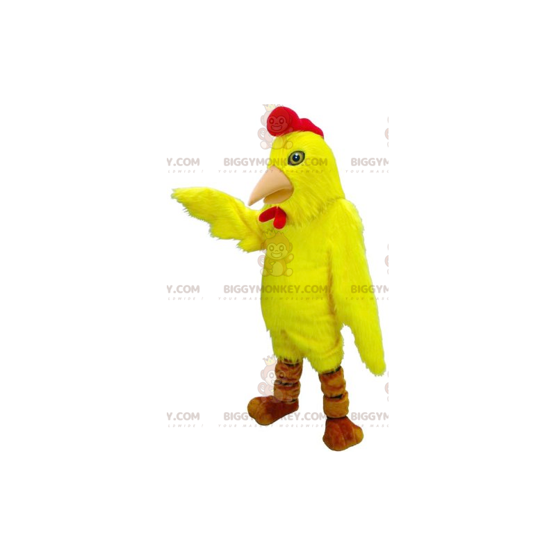 Disfraz de mascota BIGGYMONKEY™ de gallo, gallina, pájaro Disfraz de mascota BIGGYMONKEY™ de gallo, gallina, pájaro