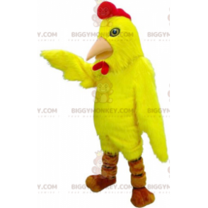 Kostým maskota žlutého a červeného kohouta slepice Bird