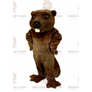 Very Realistic Brown Beaver BIGGYMONKEY™ Mascot Costume -