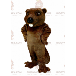 Zeer realistisch bruin bever BIGGYMONKEY™ mascottekostuum -