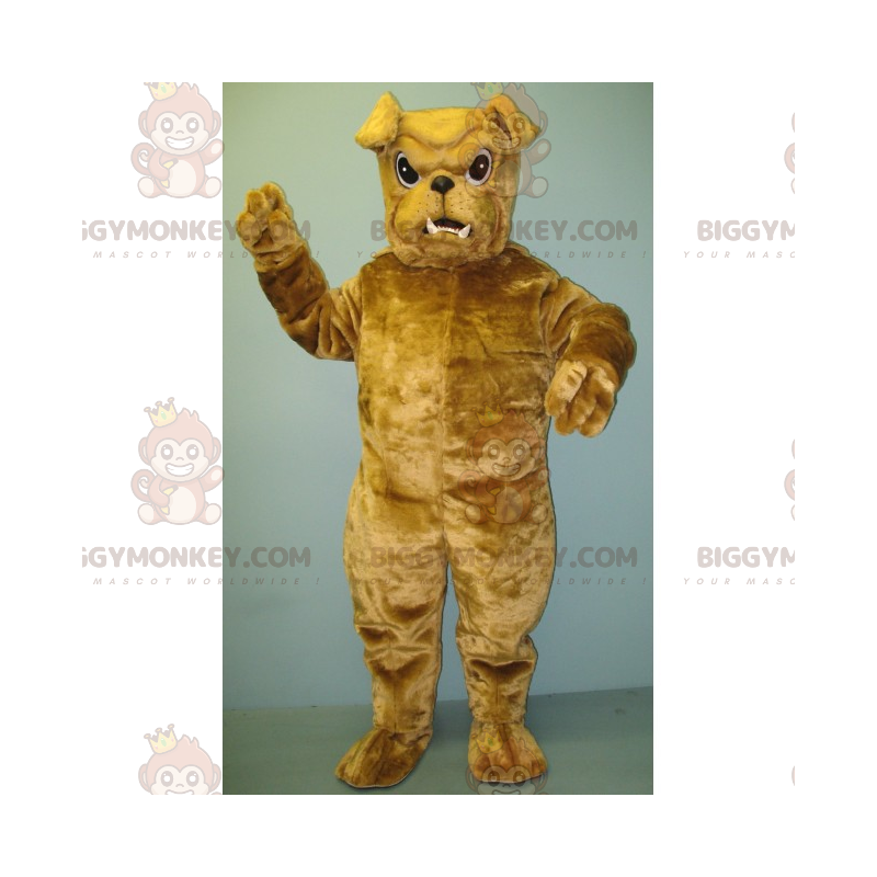 Στολή μασκότ Little Tan Bulldog BIGGYMONKEY™ - Μασκότ σκυλιών - BIGGYMONKEY_016401 - BiggyMonkey.com
