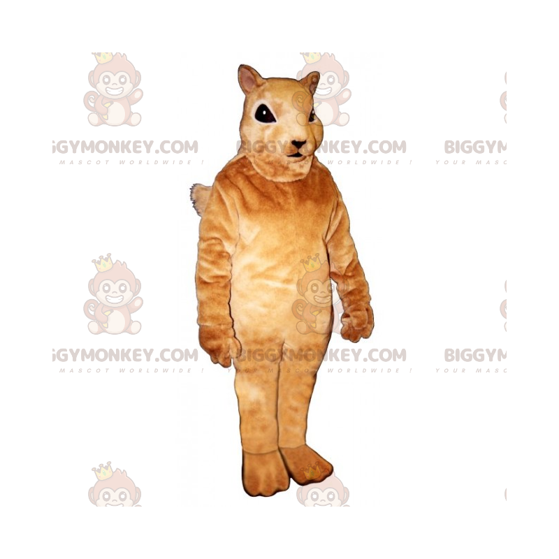 Little Beige Squirrel BIGGYMONKEY™ Mascot Costume -