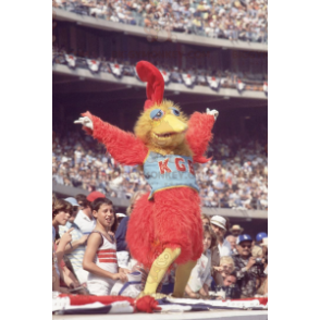 All Hairy Red and Yellow Bird BIGGYMONKEY™ Mascot Costume –