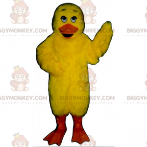 Yellow Chick BIGGYMONKEY™ maskotdräkt - Höns maskot - tuppar - kycklingar - BIGGYMONKEY_016684 - BiggyMonkey.com