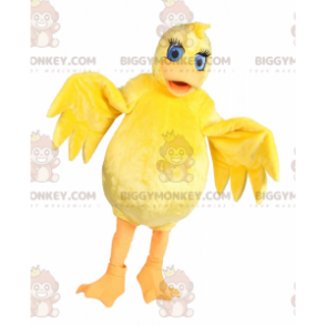 Blue Eyed Yellow Chick BIGGYMONKEY™ maskotkostume - Hens maskot - haner - høns - BIGGYMONKEY_016685 - BiggyMonkey.com