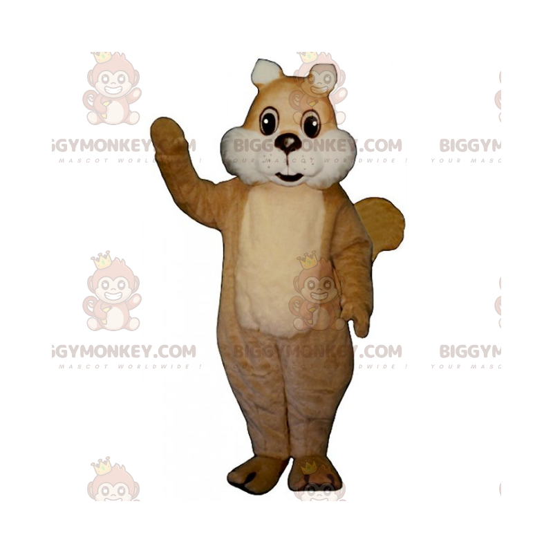 Hvidkindet egern BIGGYMONKEY™ maskotkostume - Biggymonkey.com Hvidkindet egern BIGGYMONKEY™ maskotkostume - Biggymonkey.com