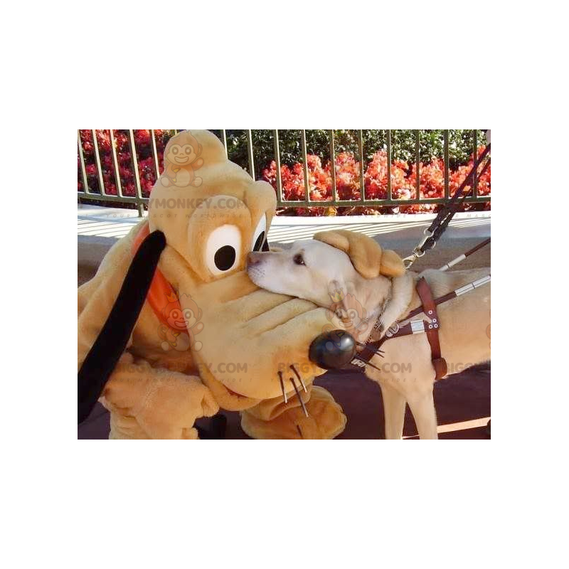 Myckey Mouse Famous Dog Pluto BIGGYMONKEY™ Mascot Costume -