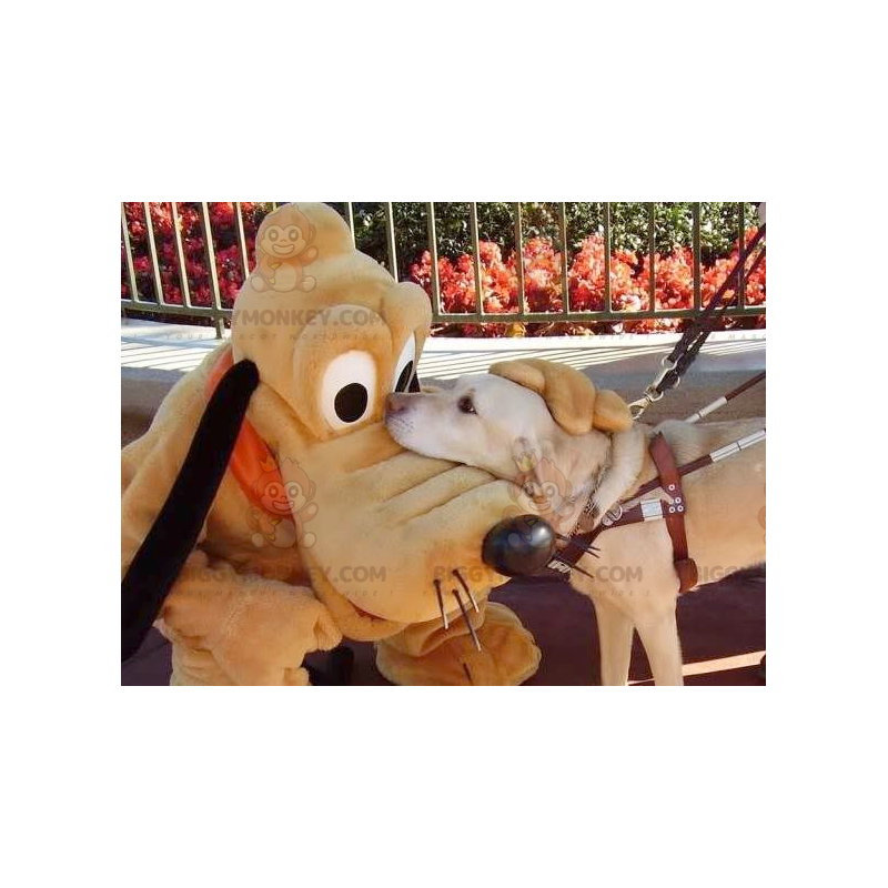 Myckey Mouse Famous Dog Pluto BIGGYMONKEY™ Mascot Costume – Myckey Mouse Famous Dog Pluto BIGGYMONKEY™ Mascot Costume –