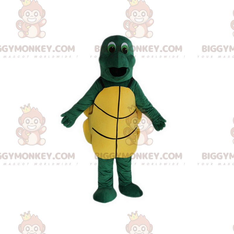 Green Eyed Turtle BIGGYMONKEY™ maskotkostyme - Turtle-maskoter - BIGGYMONKEY_016995 - BiggyMonkey.com