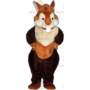 Στολή μασκότ BIGGYMONKEY™ Red Squirrel - Μασκότ σκίουρων - BIGGYMONKEY_017104 - BiggyMonkey.com