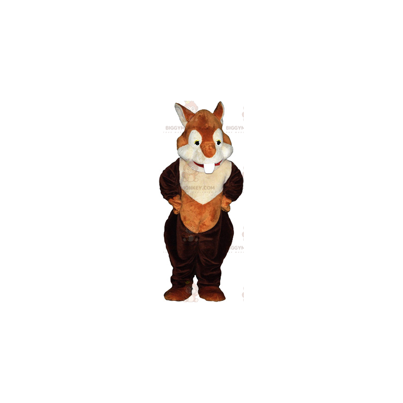Στολή μασκότ BIGGYMONKEY™ Red Squirrel - Μασκότ σκίουρων - BIGGYMONKEY_017104 - BiggyMonkey.com