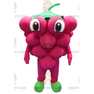 Costume da mascotte del grappolo d'uva gigante BIGGYMONKEY™ -