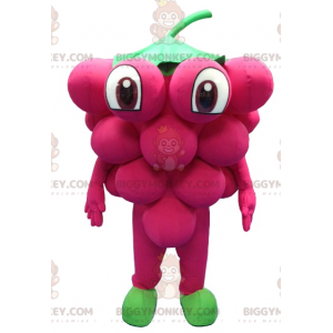 Costume de mascotte BIGGYMONKEY™ de grappe de raisin géante -