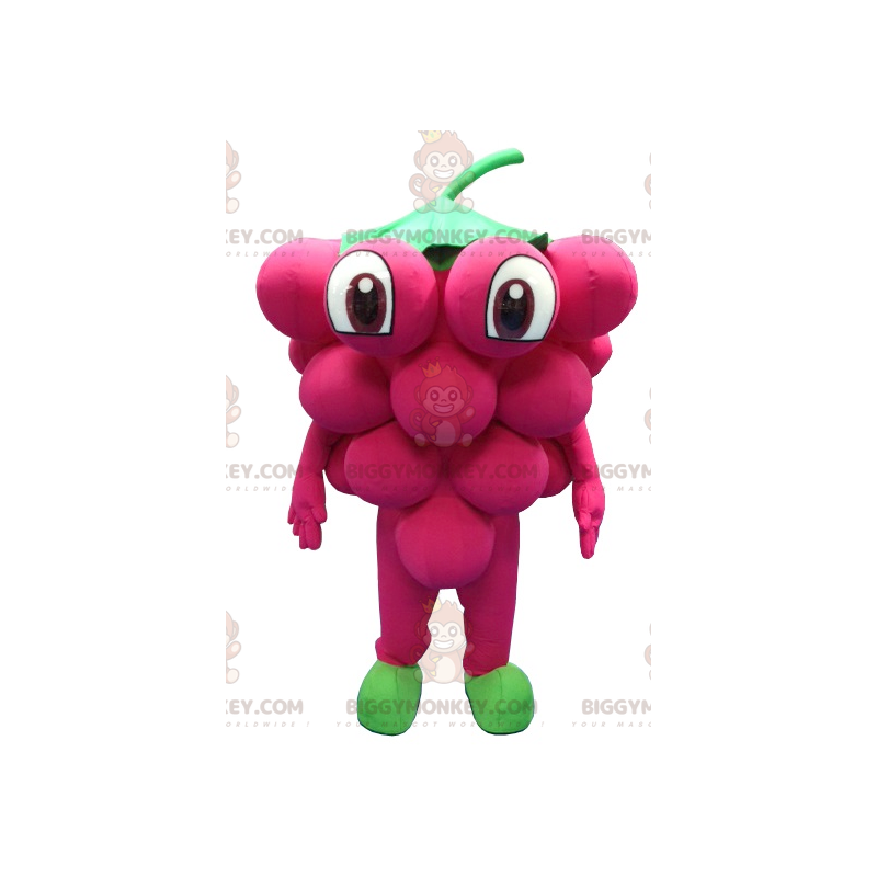 Costume de mascotte BIGGYMONKEY™ de grappe de raisin géante -