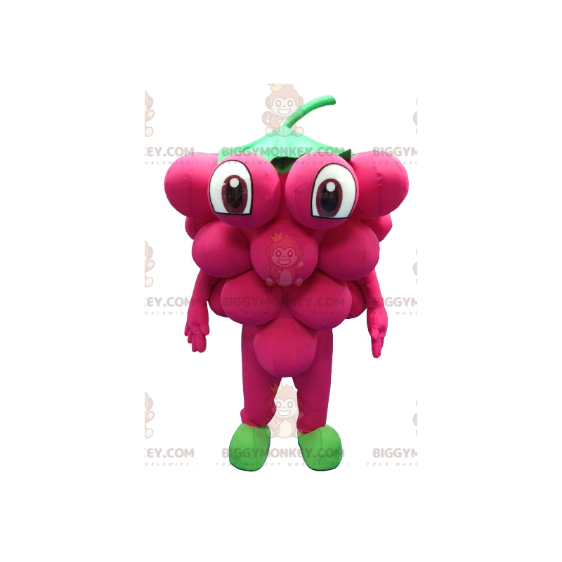 Traje de mascote gigante do cacho de uvas BIGGYMONKEY™ – Traje de mascote gigante do cacho de uvas BIGGYMONKEY™ –