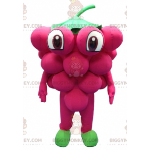 Costume de mascotte BIGGYMONKEY™ de grappe de raisin géante -