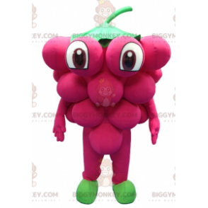 Gigantisk drueklase BIGGYMONKEY™ maskotkostyme - Frukt maskot - BIGGYMONKEY_0214 - BiggyMonkey.com