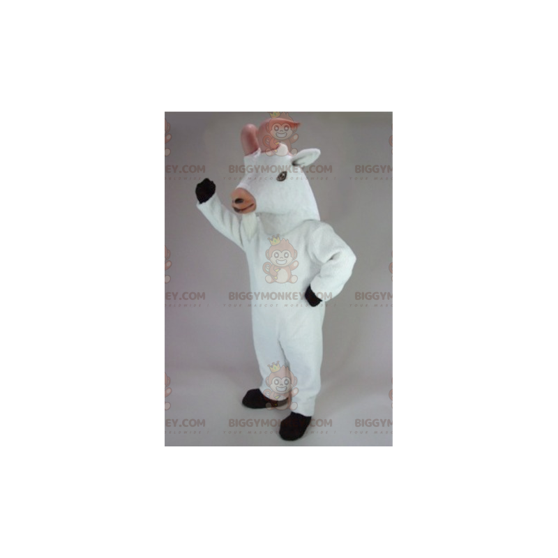 Valkoinen Cabri Goat BIGGYMONKEY™ maskottiasu - Biggymonkey.com Valkoinen Cabri Goat BIGGYMONKEY™ maskottiasu - Biggymonkey.com