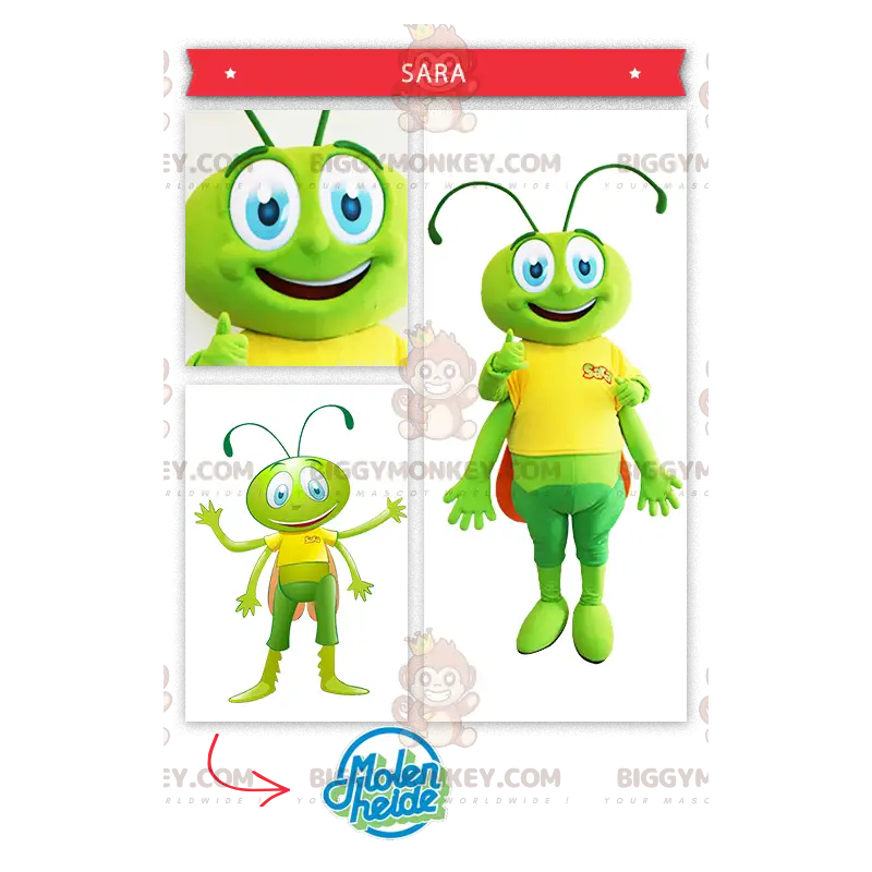 Grüne Heuschrecke BIGGYMONKEY™ Maskottchen-Kostüm - Grüne Heuschrecke BIGGYMONKEY™ Maskottchen-Kostüm -