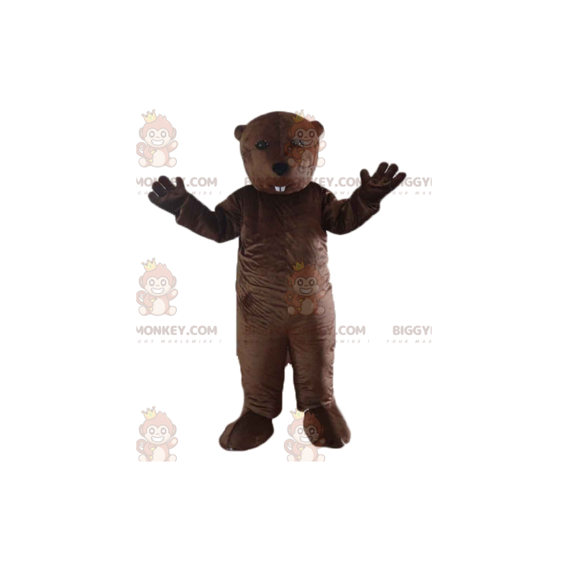 Costume mascotte roditore castoro marmotta BIGGYMONKEY™ -