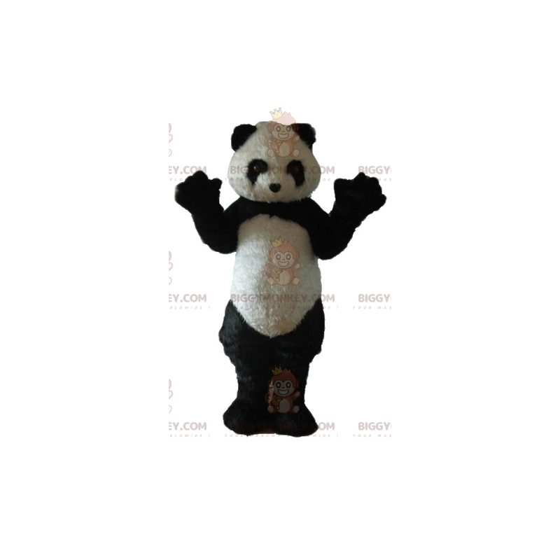 Alle harige zwart-witte panda BIGGYMONKEY™ mascottekostuum - Alle harige zwart-witte panda BIGGYMONKEY™ mascottekostuum -