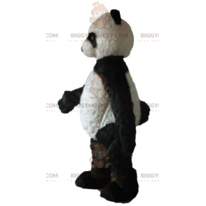 Helt behåret sort og hvid Panda BIGGYMONKEY™ maskotkostume -