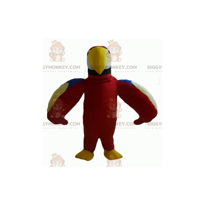 Simpatico costume della mascotte del pappagallo rosso verde blu Simpatico costume della mascotte del pappagallo rosso verde blu